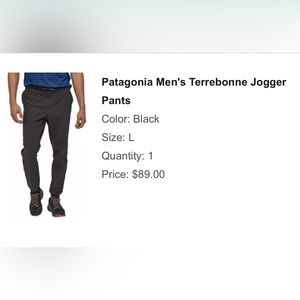 Patagonia Men’s Terrebonne Joggers